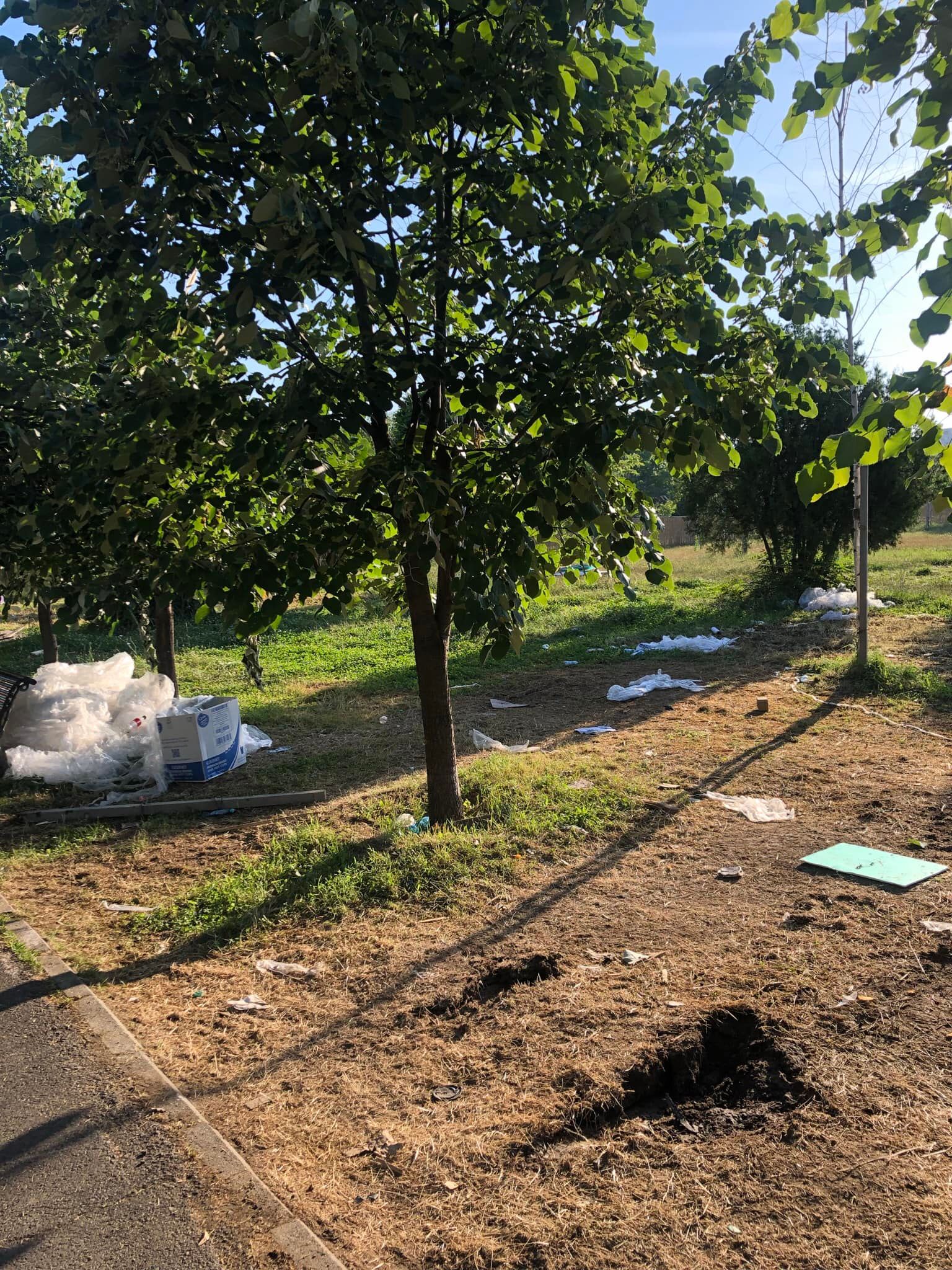Concesionarea Parcului Izvor, între „festivalizarea orașului” și „nu-l distrugem, îl facem mai frumos”