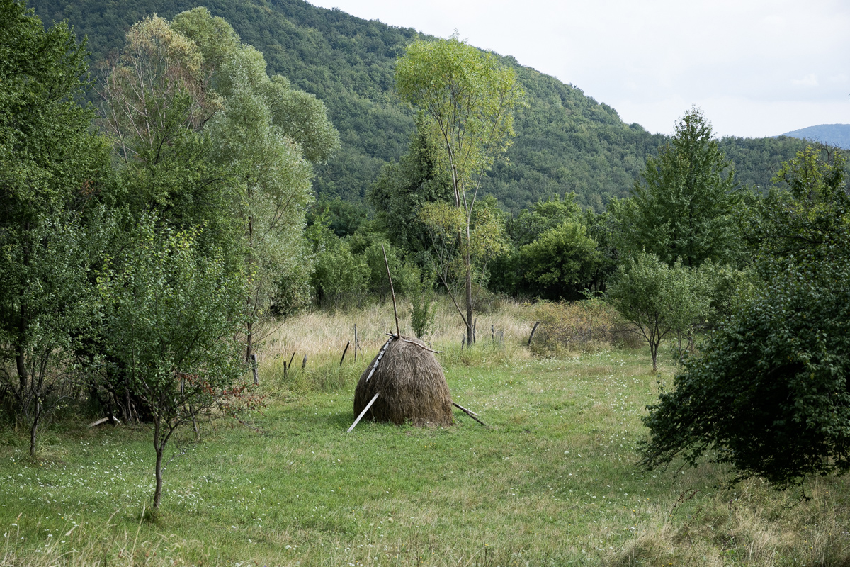 REPORTAJ. Viața celor 10 locuitori rămași în satul în care Gigi Becali a făcut o mănăstire și are planuri pentru alta: „Domnul ăsta a venit la poartă, m-a întrebat câţi ani am, apoi s-a dus şi mi-a adus o găleată de apă”