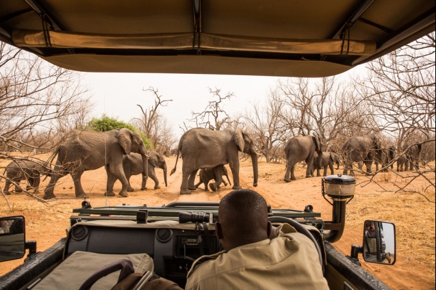 The organization is focusing on localising its operations, including through a new conservation training academy in Rwanda to empower African professionals.