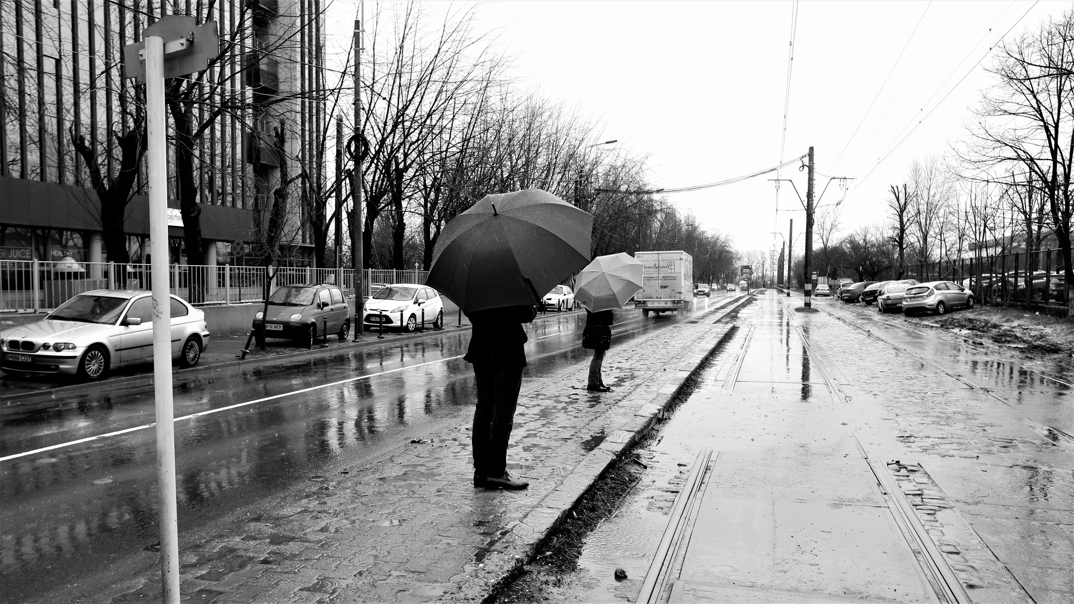 FOTOREPORTAJ | #salvatipipera, între ALB și NEGRU