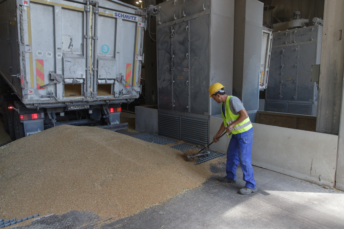 REPORTAJ de pe frontul cerealelor. Cum se exportă producția României și a Ucrainei printr-o investiție imensă