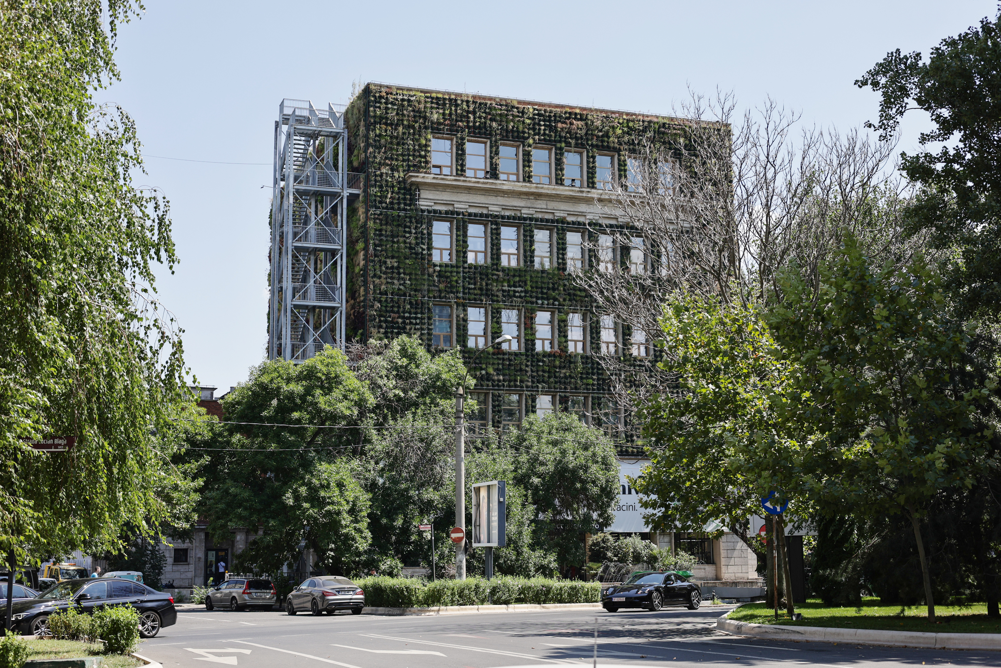 Mall-ul de plante din București are cinci niveluri cu peste 1.200 de soiuri, ghivece inteligente și un mesteacăn artificial care costă cât un apartament