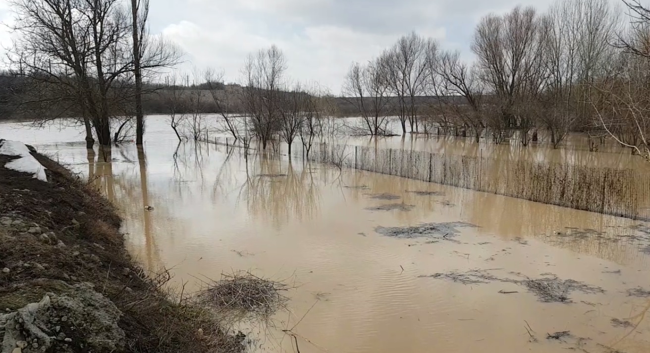 VIDEO&FOTO. Pagube uriașe după inundațiile din Teleorman. Sute de gospodării sunt afectate. Oamenii, evacuați din calea apei