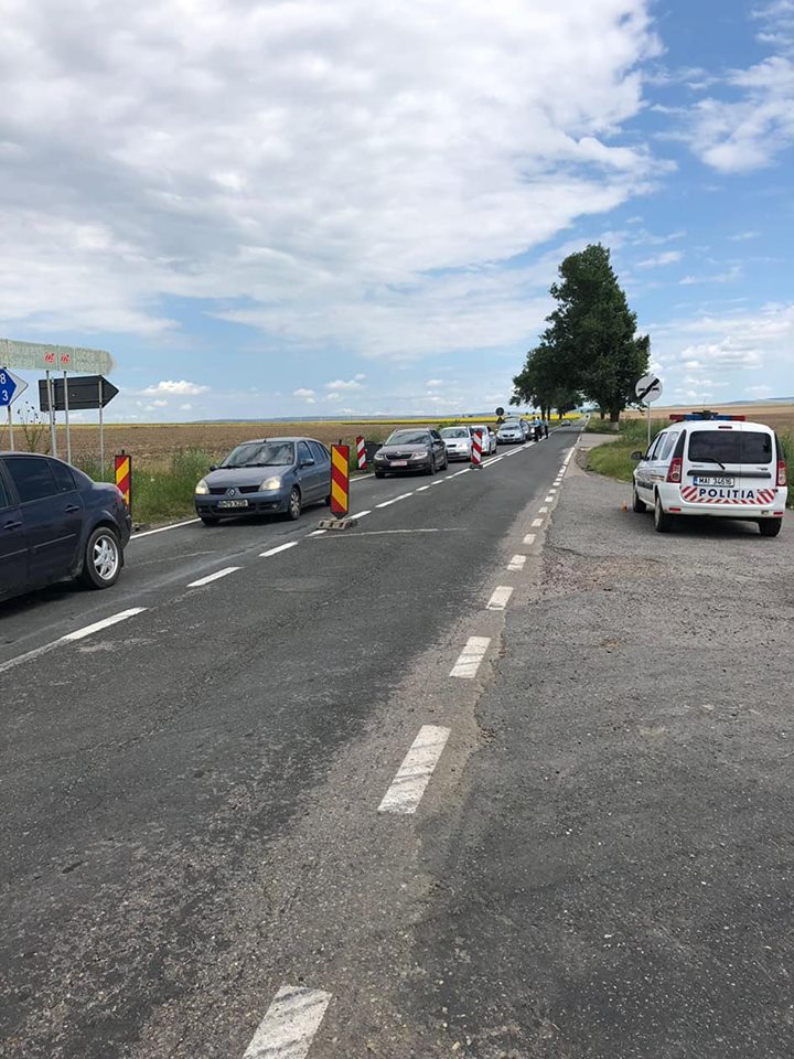 Stare de alertă în județul Tulcea. Pesta porcină africană afectează oamenii de rând, dar și marele producător Carniprod/ FOTO