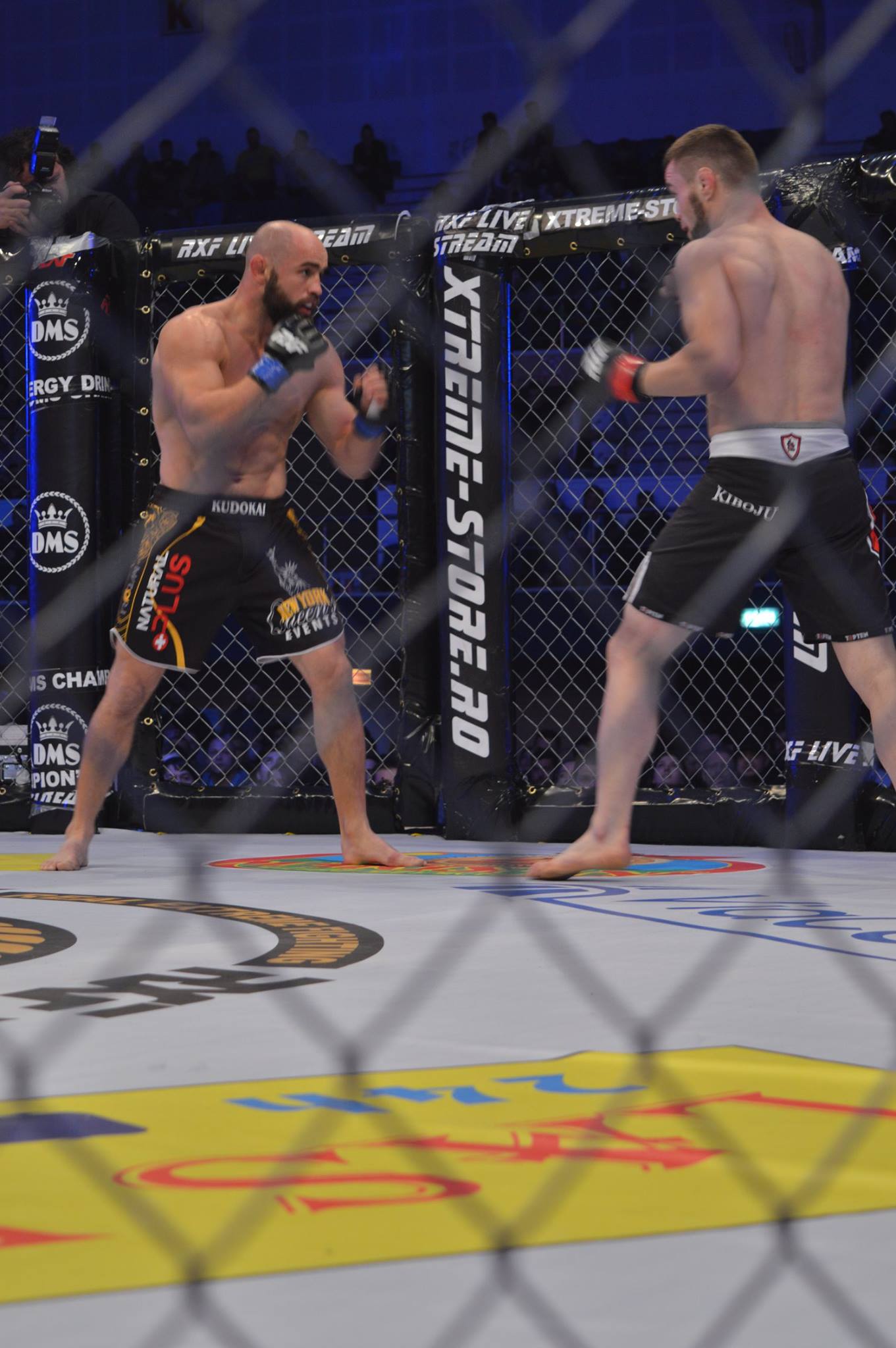 Rezultate MMA RXF 21! Super-show de arte marţiale mixte, în Sala Polivalentă / GALERIE FOTO