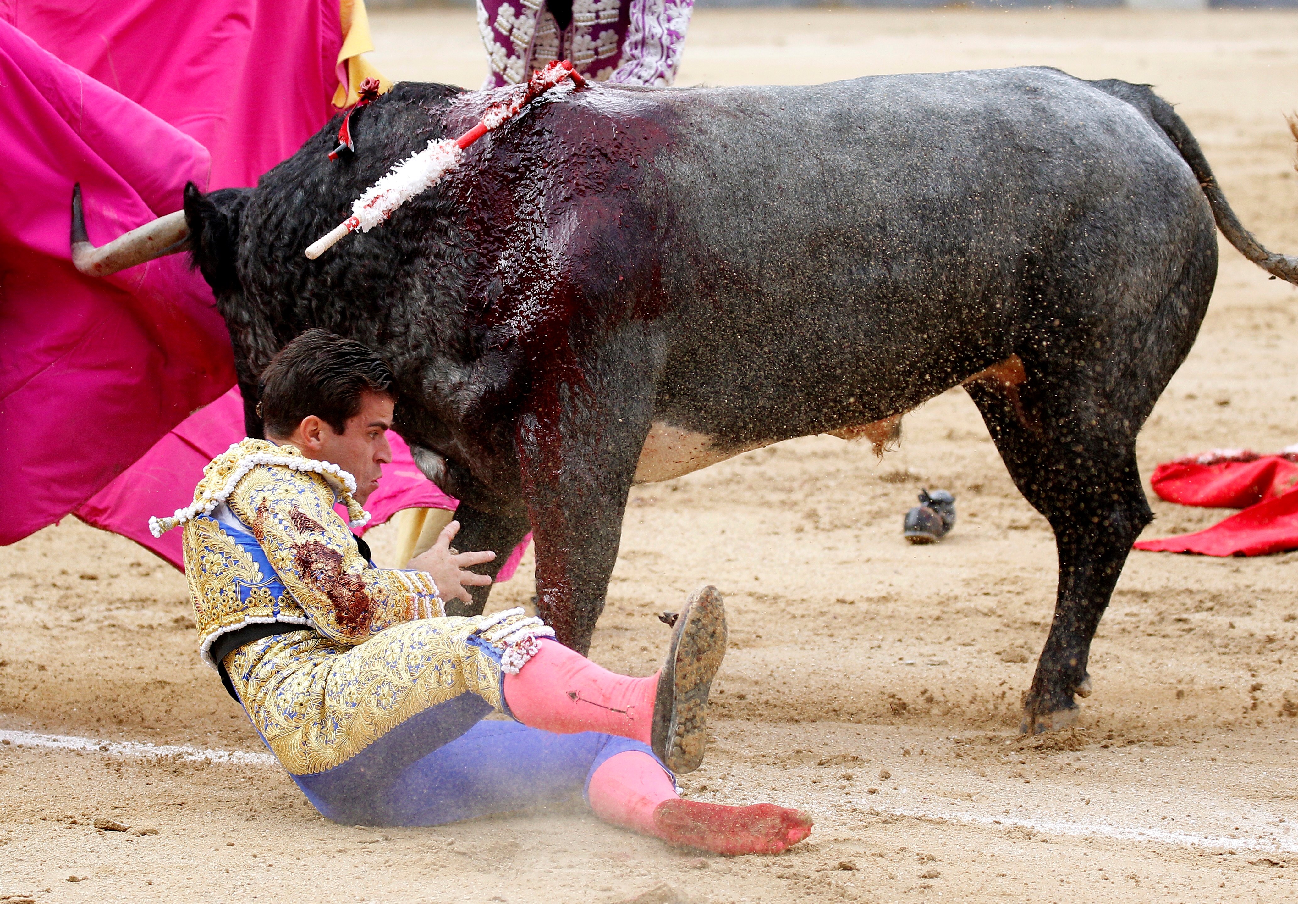 FOTO | Momentul șocant în care un matador este împuns de un taur furios. Omul a fost rănit grav