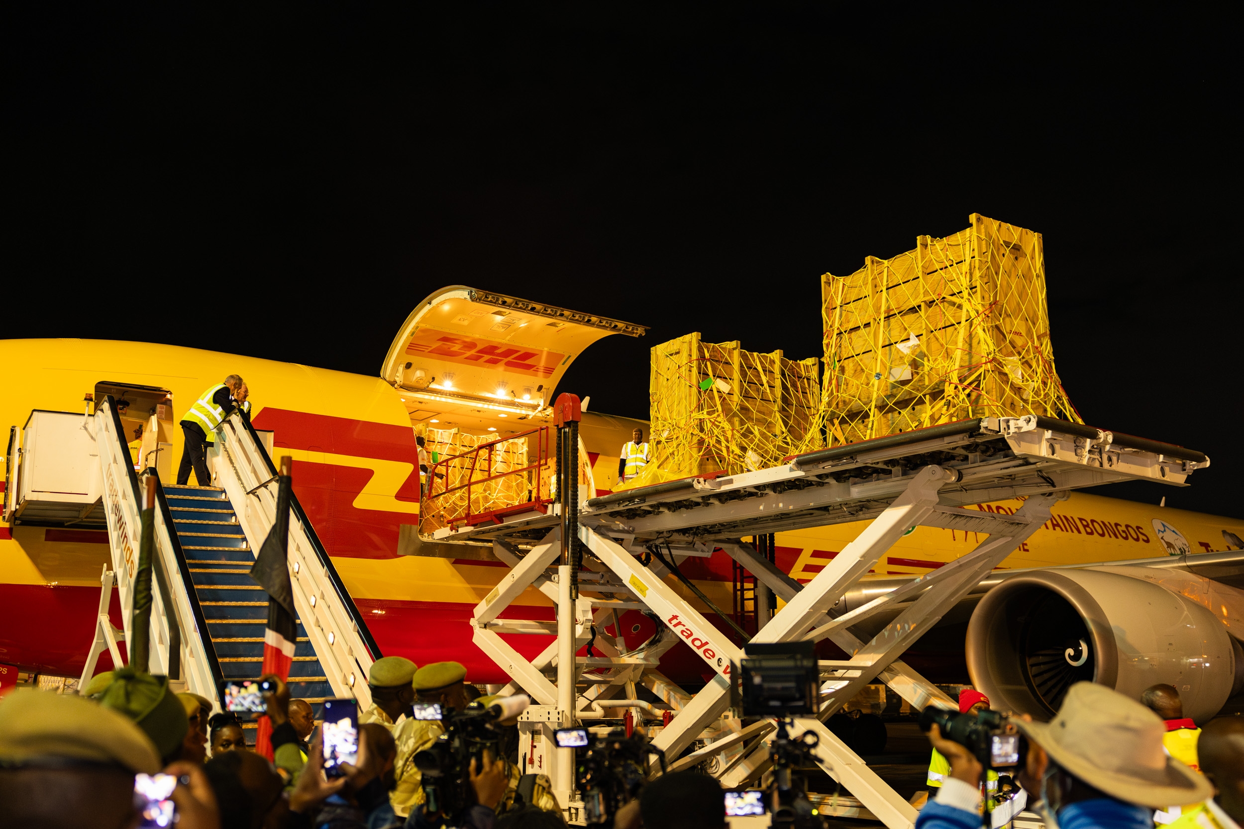 Când coletele au prins viață: cum să transporți cu avionul antilope și babuini? Cele mai neobișnuite livrări făcute în 2025