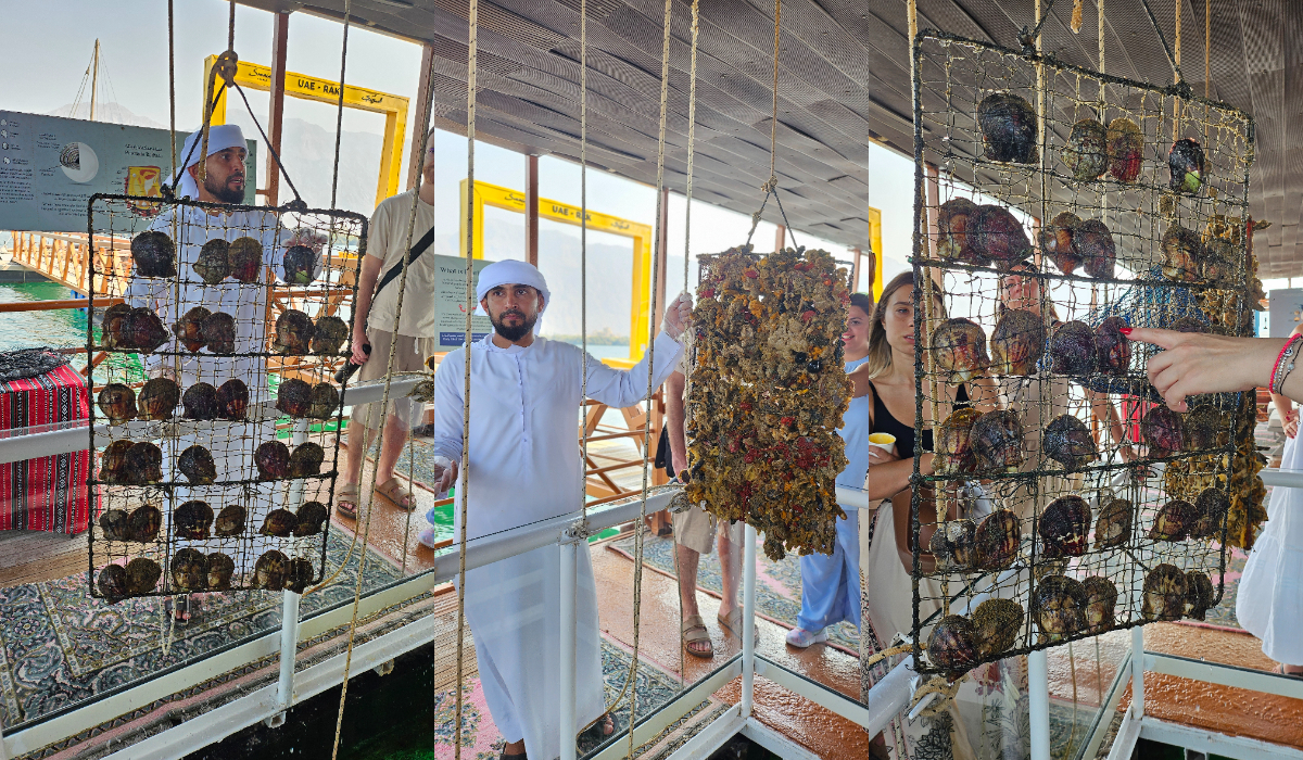 Totul despre Ras Al Khaimah, destinația de vis care a furat inimile turiștilor prin cultură, natura spectaculoasă și hoteluri de lux aflate chiar pe malul mării