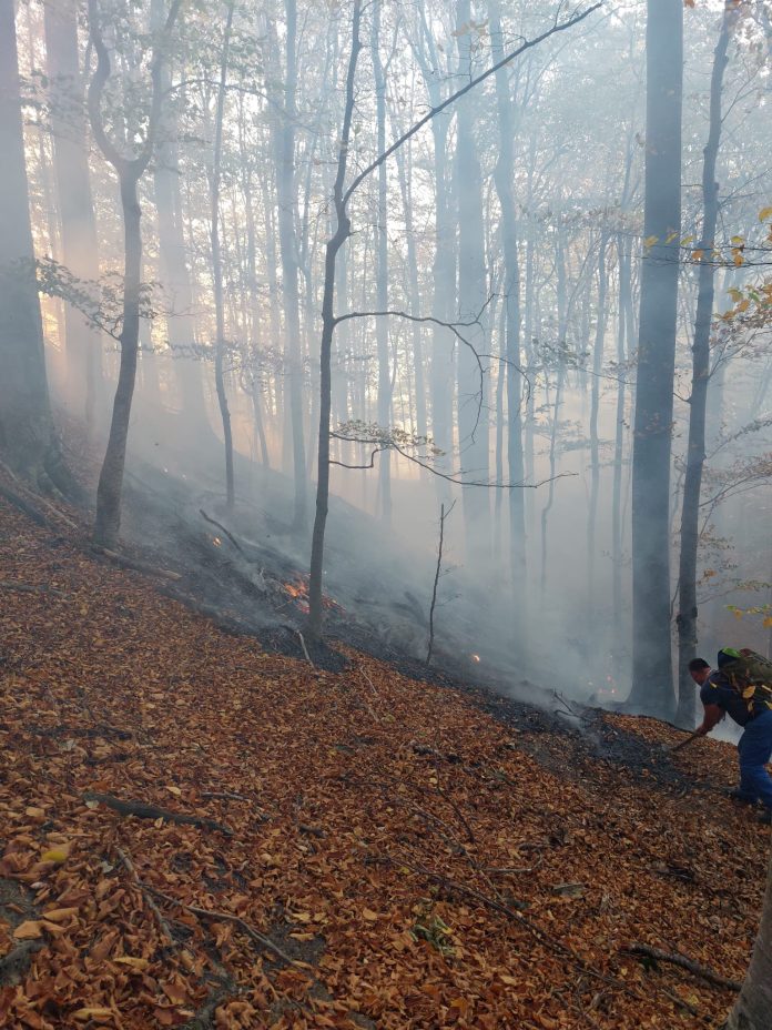 Intervenție cu 20 de pompieri la Barajul Paltinu, după un incendiu de pădure izbucnit în urmă cu o zi