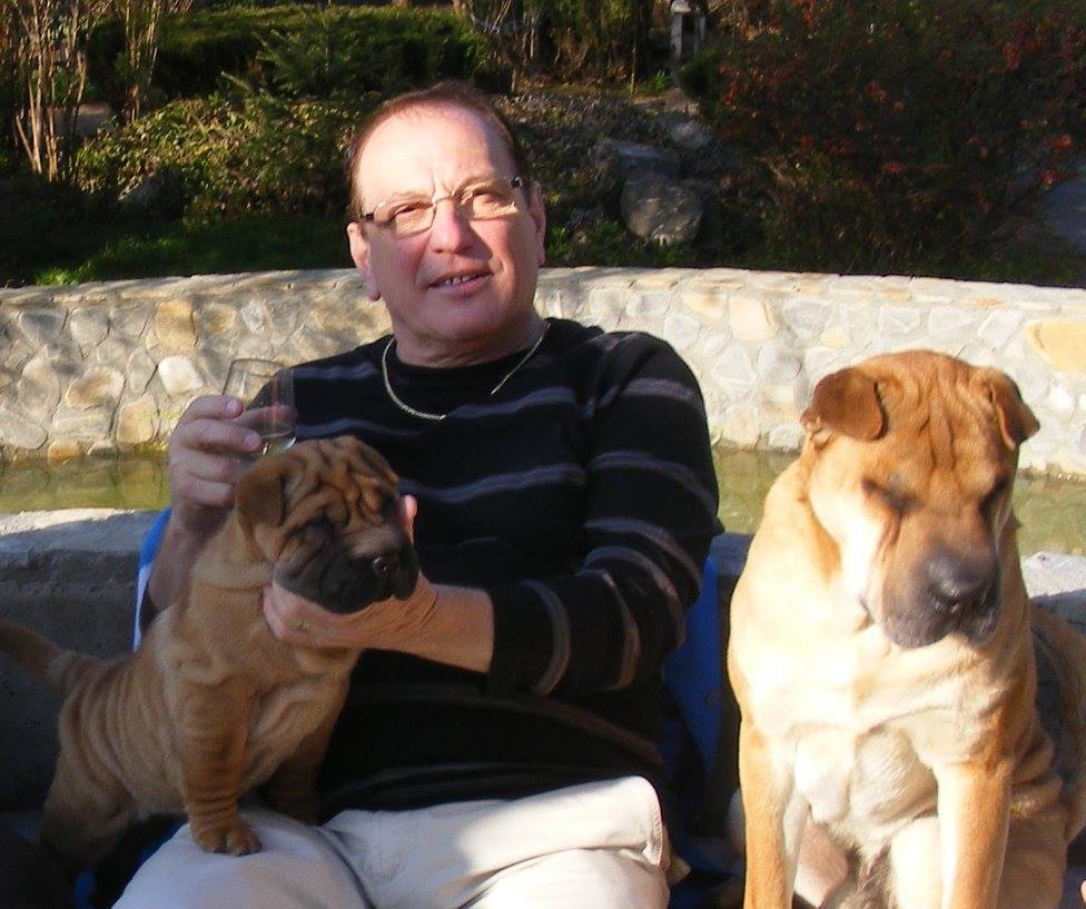 În lipsa nepotului, Petre Geambașu crește câini din rasa Shar Pei. “Sunt printre cele mai dragi ființe din viața mea”