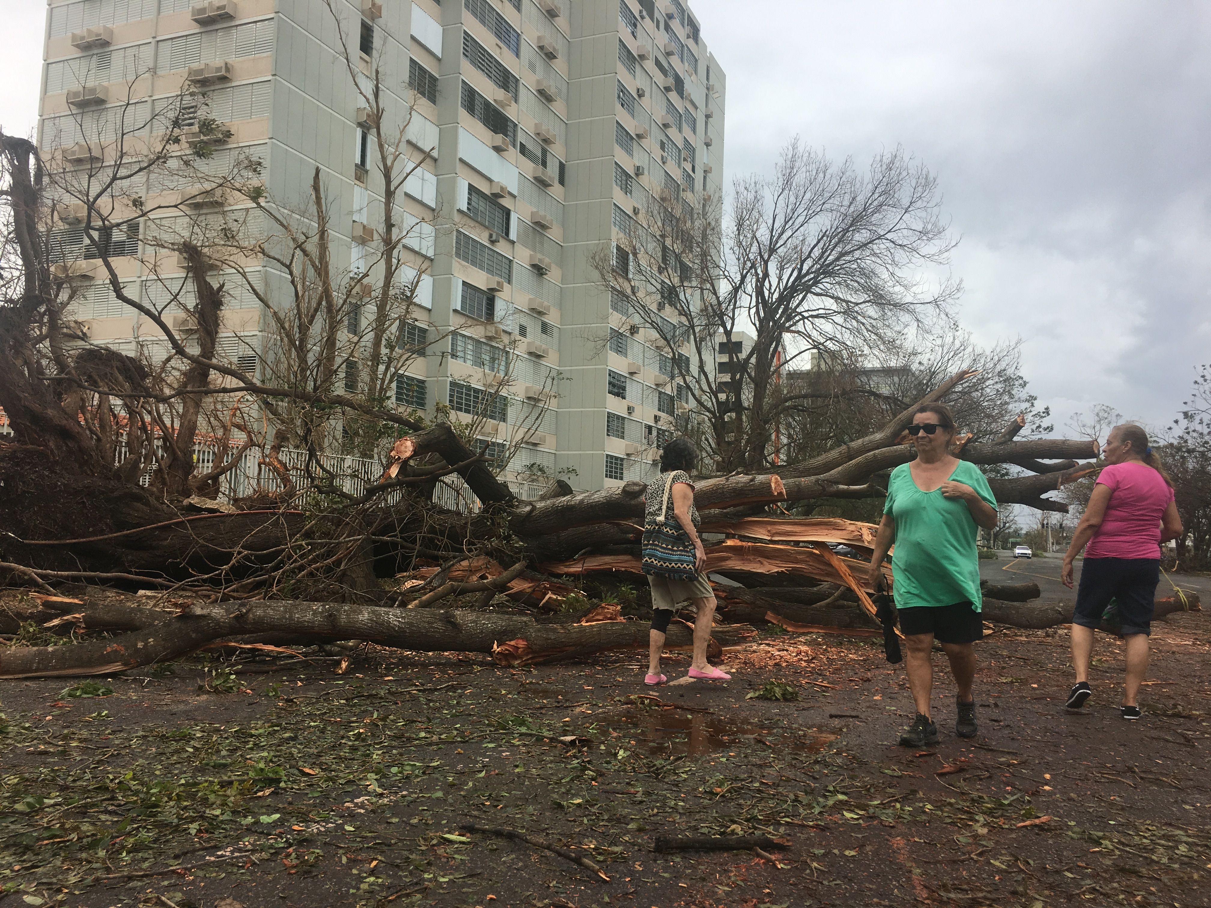FOTO| Ce cetățenie are o persoană născută în Puerto Rico. Peste jumătate dintre americani nu au știut răspunsul