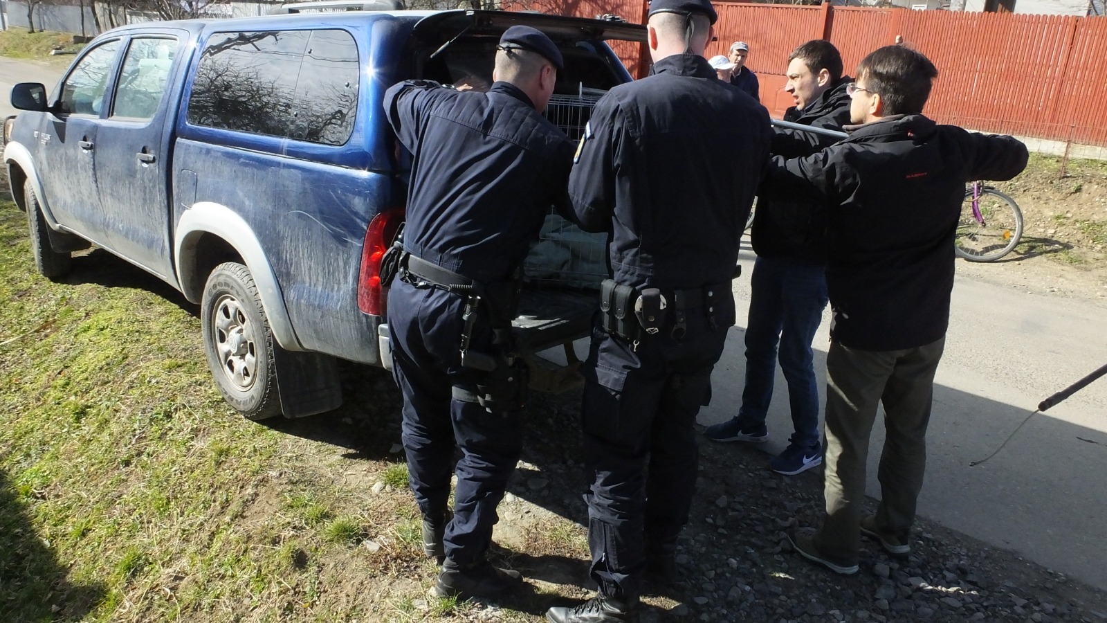 Caz real: Apel la 112 pentru salvarea unui bursuc prins sub un butoi de vin