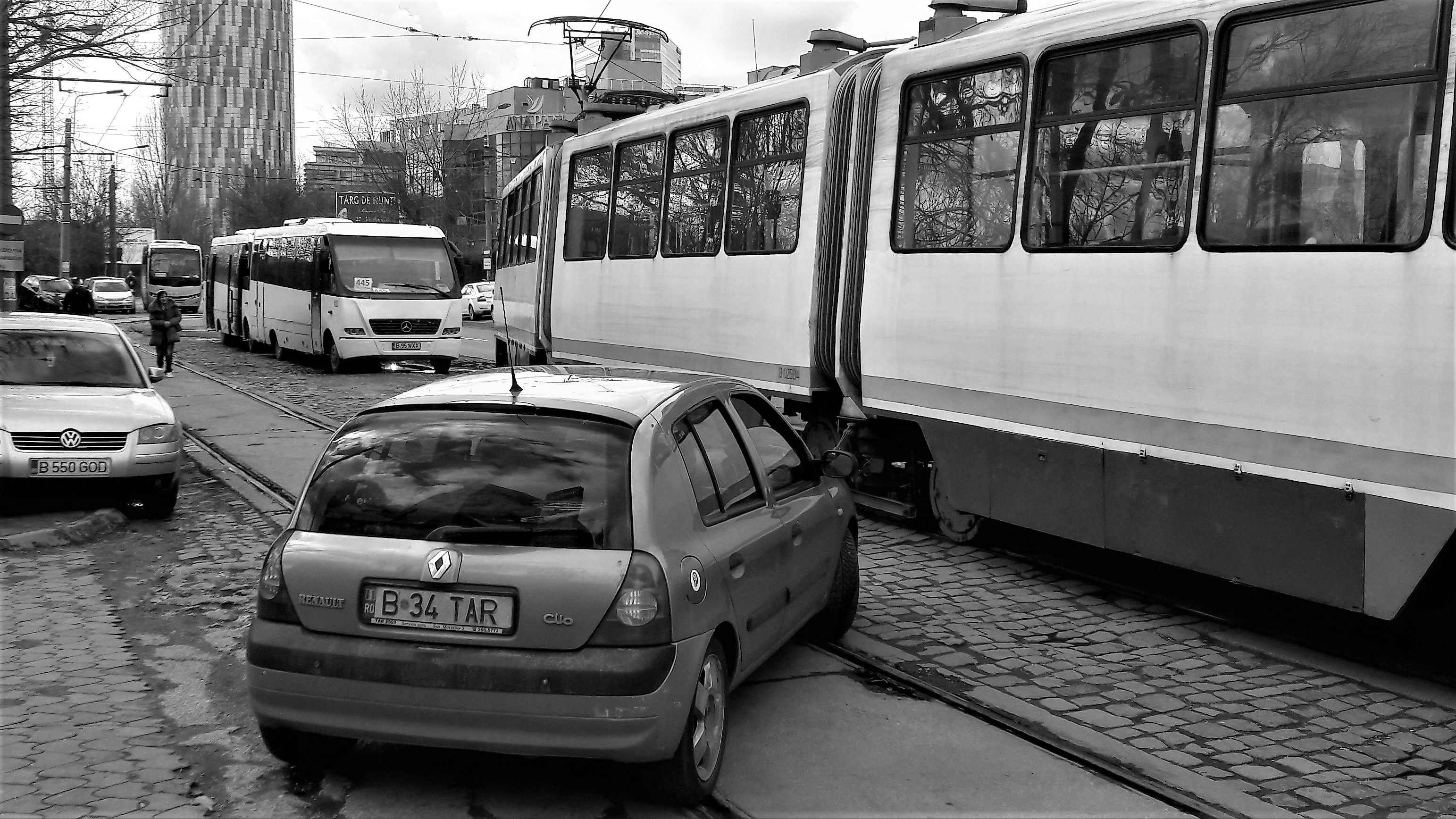 FOTOREPORTAJ | #salvatipipera, între ALB și NEGRU