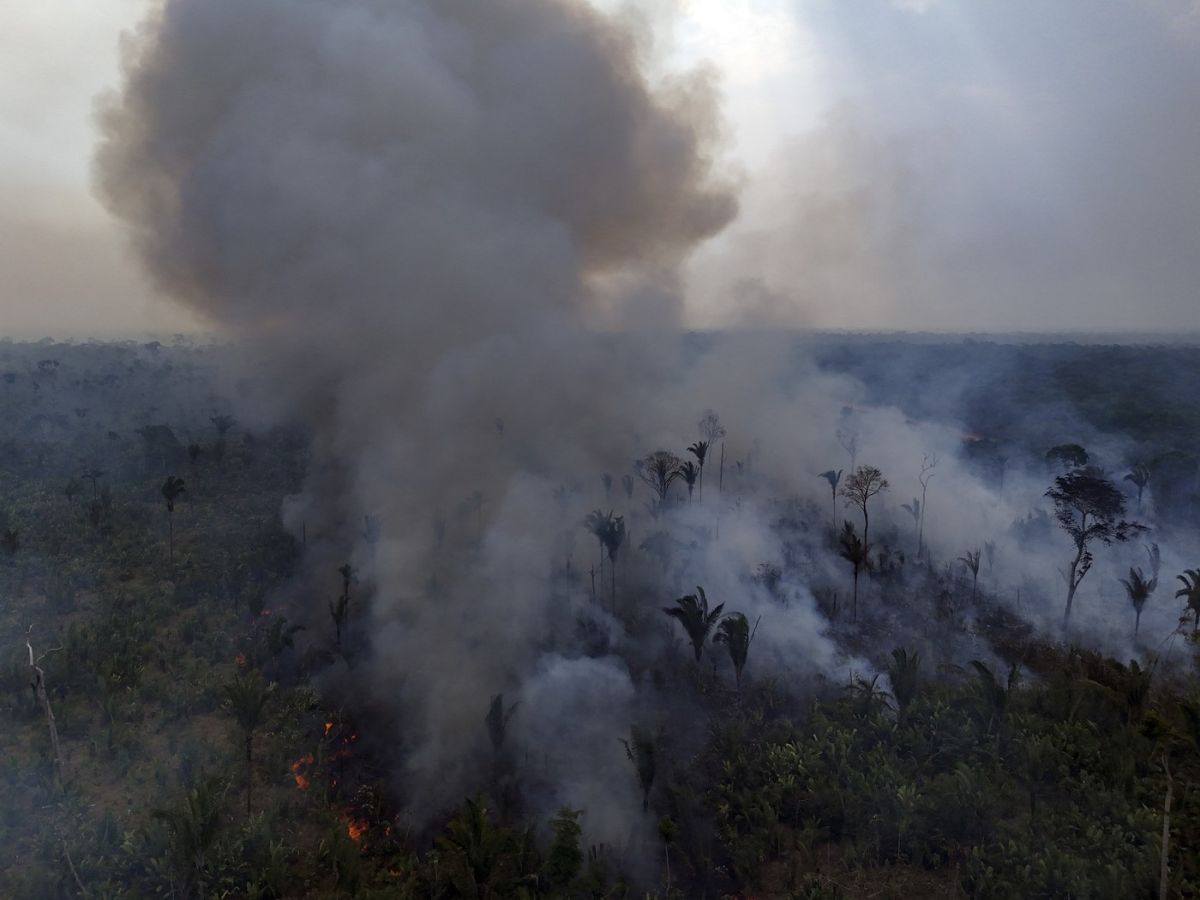 Șapte morți, între ei trei pompieri, și 40 de răniți, în incendiile de vegetație din Portugalia. Guvernul a declarat situație de „calamitate”