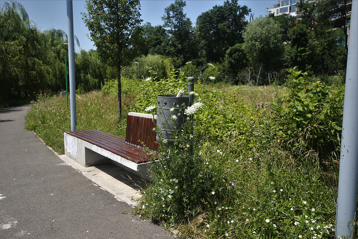 Jungla din nordul Bucureștiului. Cum au ajuns să arate două dintre „oazele de relaxare” ale Capitalei