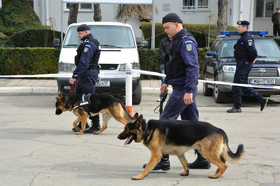 REPORTAJ/ Jandarmul Marius și câinele Mabanu, o prietenie mai presus de meserie. Deși a fost pensionat, ciobănescul german rămane cu plutonierul major/ (Foto&Video)