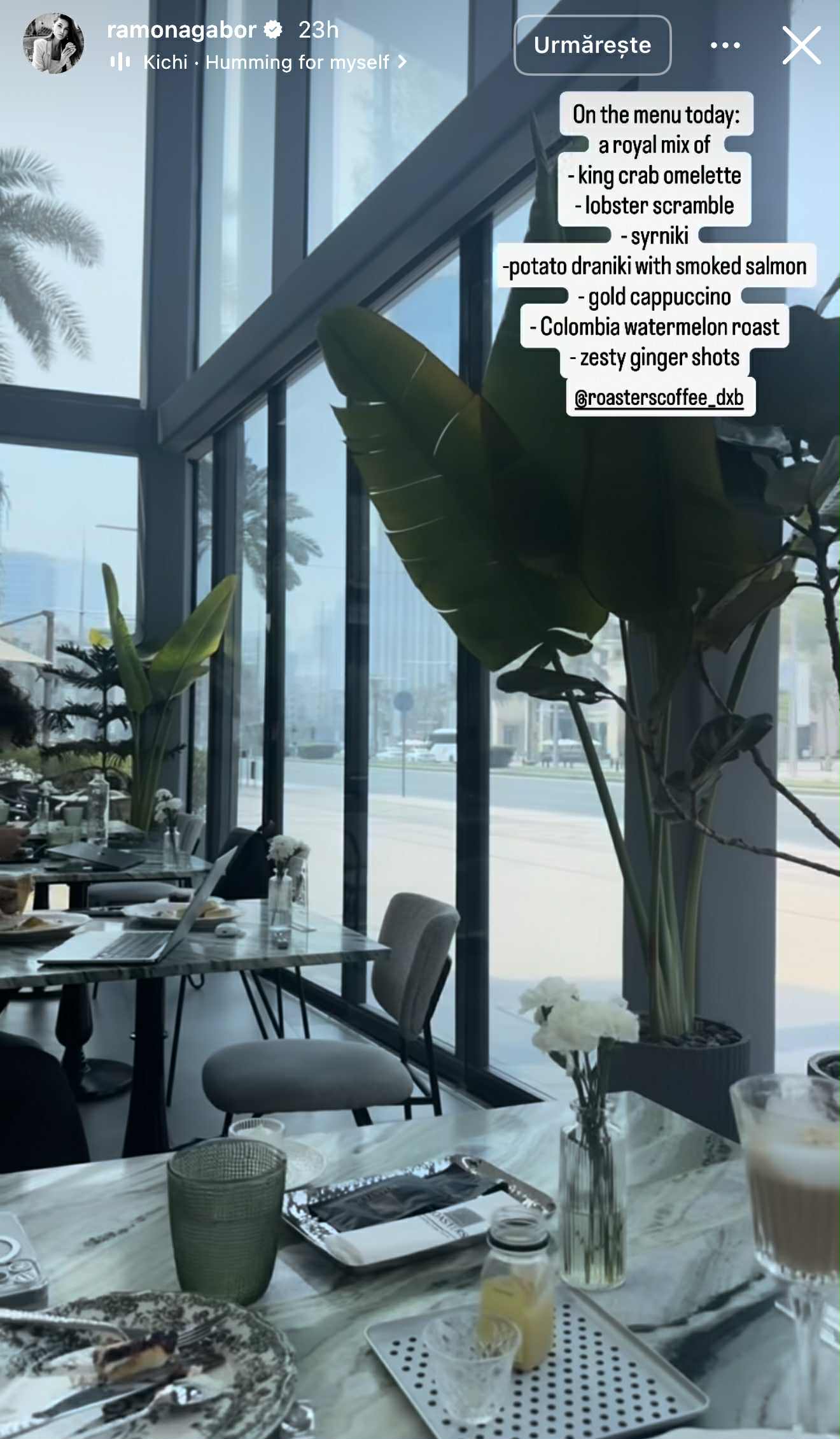 Cum au apărut surorile Ramona și Monica Gabor într-un restaurant din Dubai. Au fost lăudate: „Surori minunate”