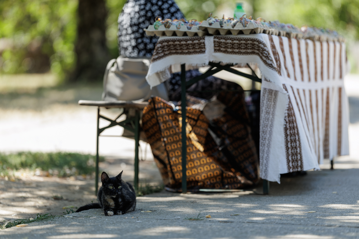 Paznici neobișnuiți pentru Muzeul Satului. Zeci de pisici sunt „plătite” cu hrană și apă pentru a apăra valoroasele exponate