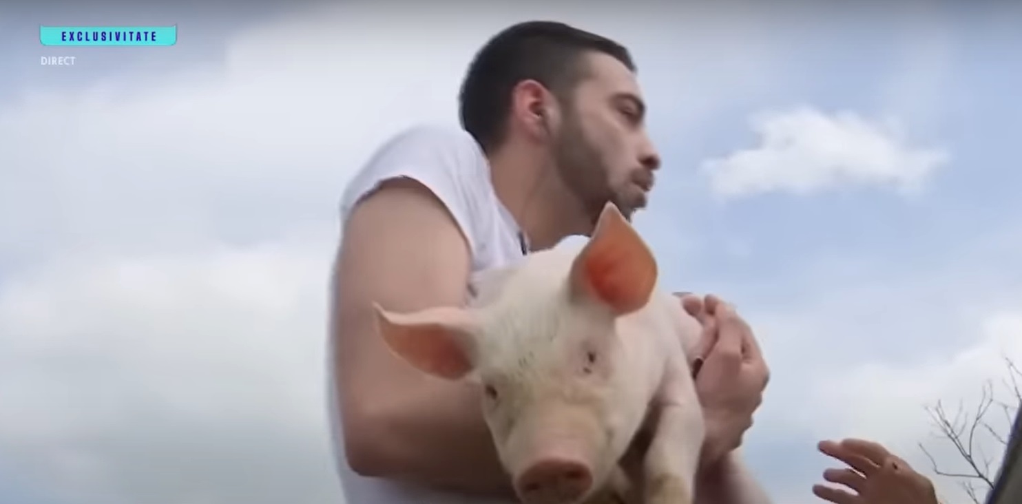 David Pușcaș a dat probe de angajare la o fermă. Când a văzut purceii, a început să urle: „Am crezut că mă mușcă de picioare”