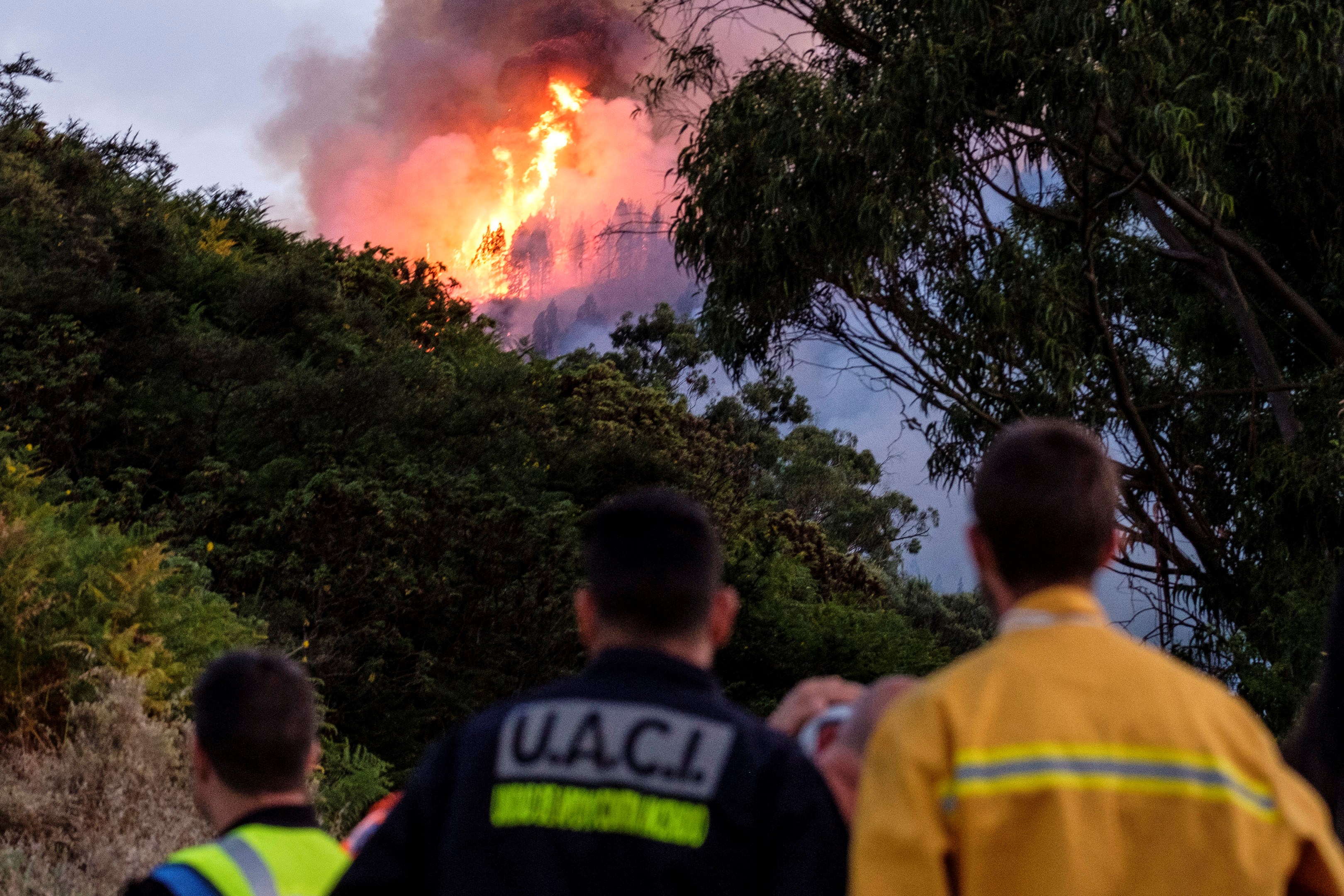Peste 2.000 de persoane au fost evacuate, după ce un nou incendiu de pădure a izbucnit pe insula Gran Canaria. Pompierii abia localizaseră un focar, în urmă cu 5 zile