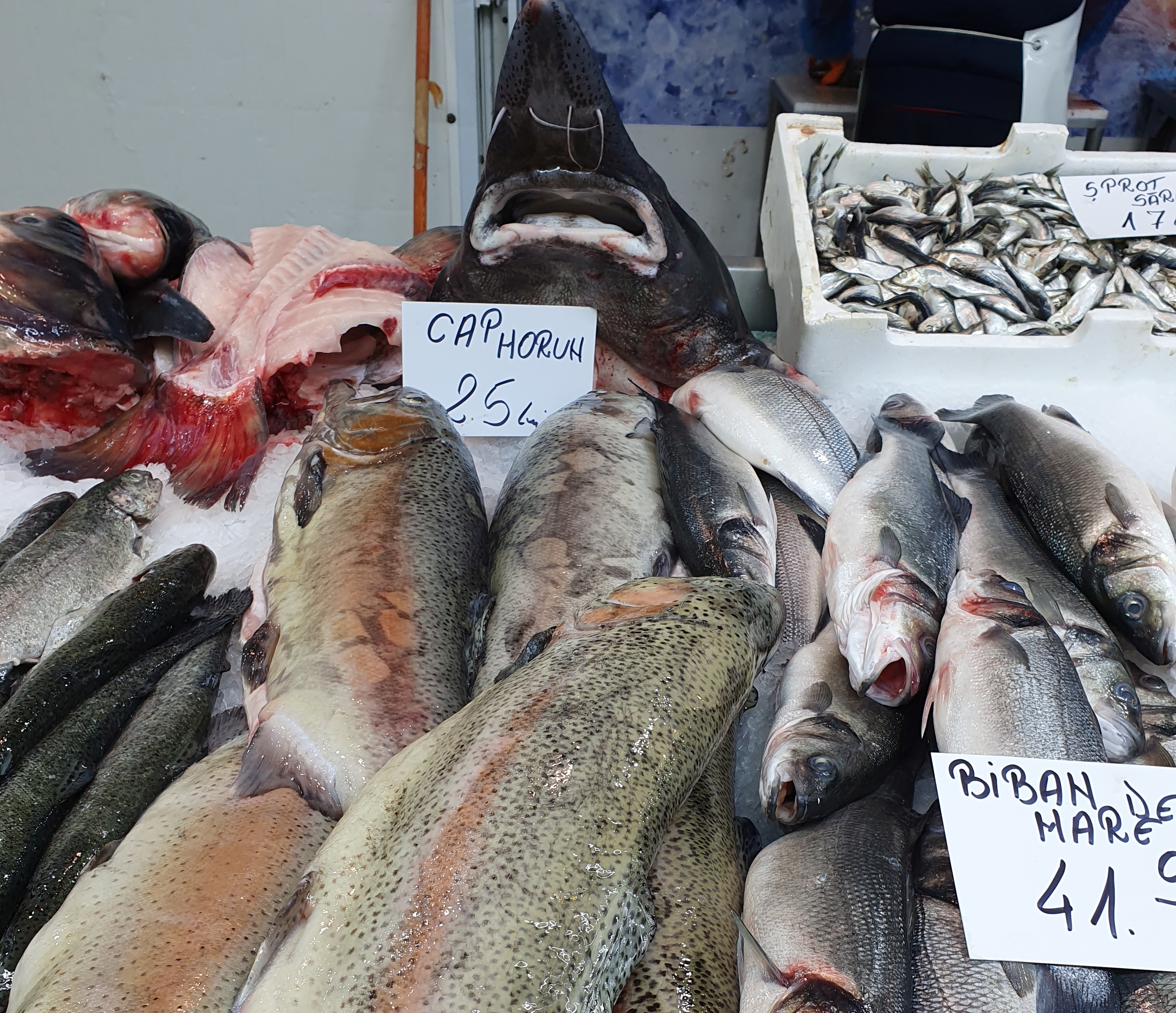 Agitație mare printre tarabe și miros de pește proaspăt: cum arată o zi în Piața Obor înainte de dezlegarea la pește din ziua de Florii. Prețuri pentru toată lumea