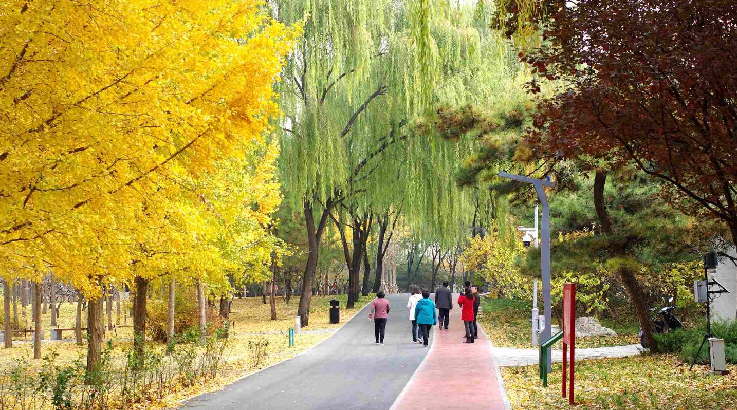 Primul parc tematic de inteligenţă artificială din China a fost deschis. Cum arată parcul viitorului din Beijing / FOTO&VIDEO