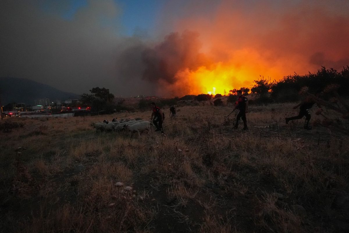 Un incendiu de pădure s-a extins până în zonele rezidențiale din orașul turc Izmir. Oameni evacuați din mai multe cartiere