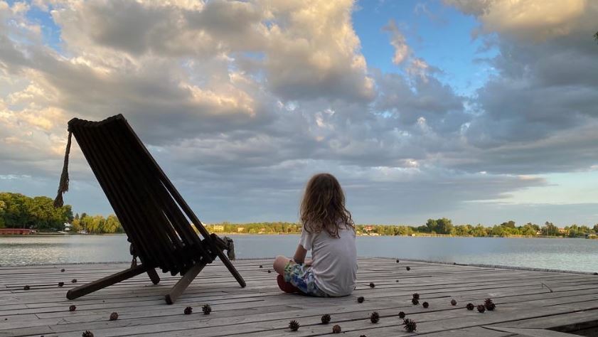 Imagini cu vila din Snagov a Ioanei Băsescu. Are piscină, ponton și garaj privat pentru șalupe