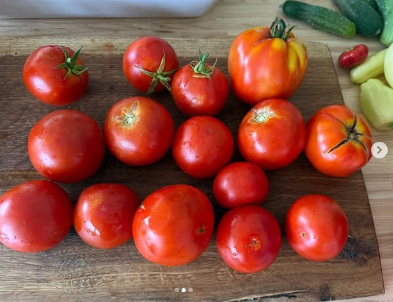 Imagini cu solarul pentru legume al lui Dragoș Bucur și al Danei Nălbaru. Ce au făcut cu roșiile care s-au copt: „Sunt multe, mulțumim lui Dumnezeu”