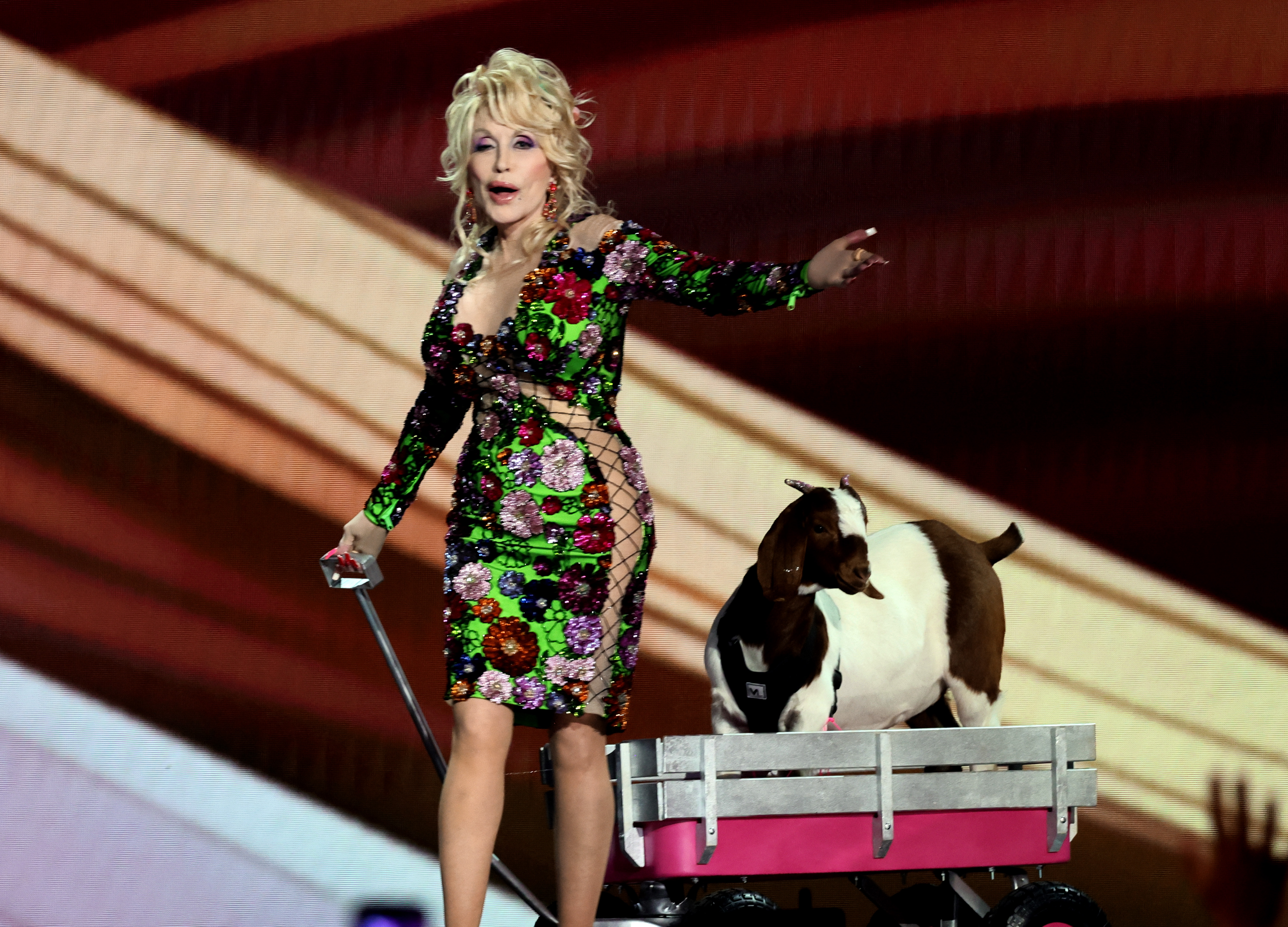 Cauza morții lui Dolly Parton a fost făcută publică. Ultimele declarații făcute cu doar patru zile înainte de moarte