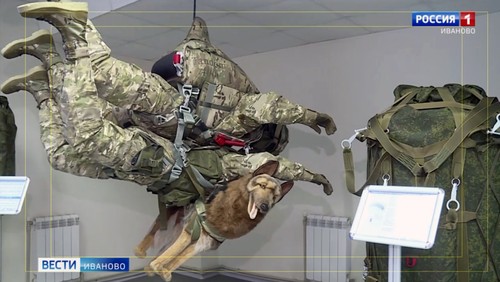 Armata rusă își antrenează câinii să sară cu parașuta. Imagini inedite de la exercițiul militar
