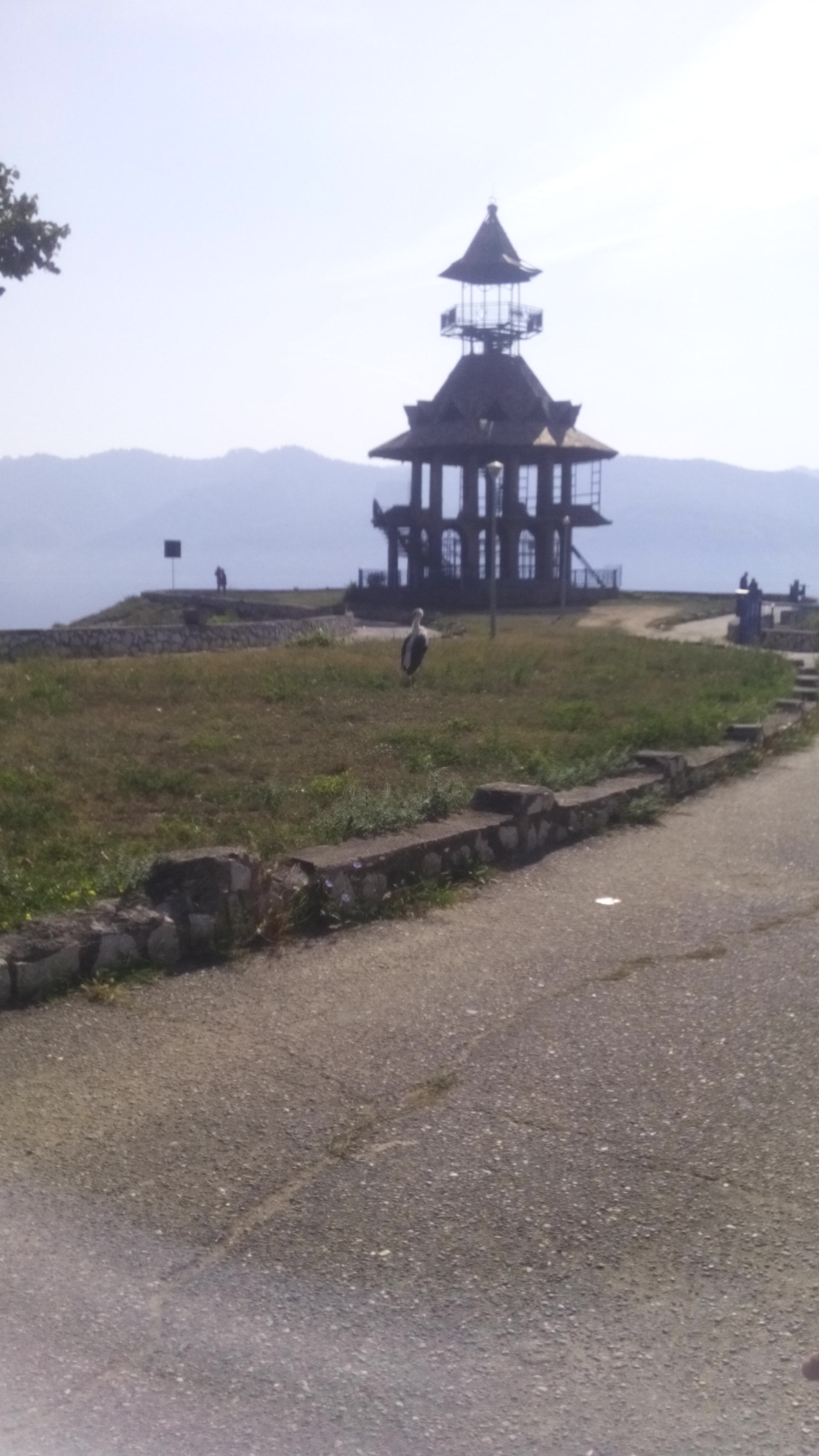 O barză s-a rătăcit în parcul din Orşova GALERIE FOTO