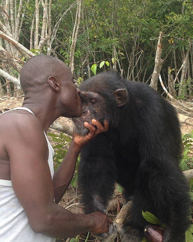 Un cimpanzeu a trăit singur, timp de 3 ani, pe o insulă africană. Cum a reacționat când cineva a decis să-l viziteze | GALERIE FOTO