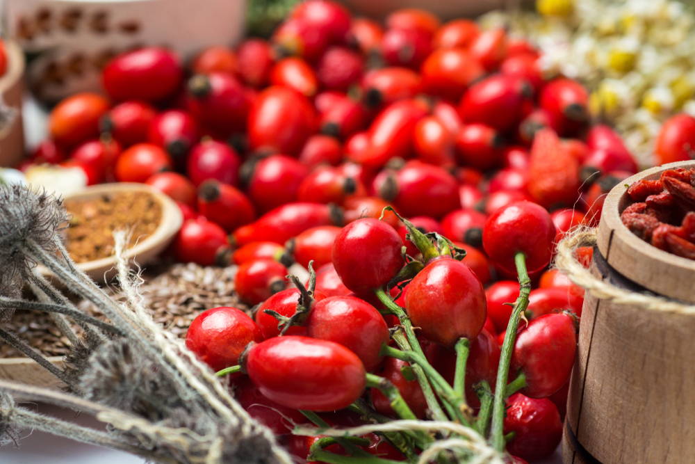 Măceșe - valori nutriționale, beneficii și proprietăți. Rețete cu măceșe
