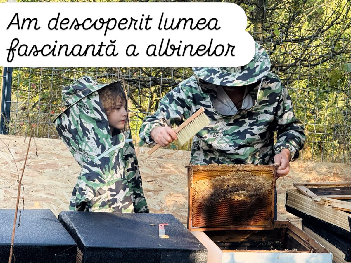 Imagini din gospodăria lui Dragoș Bucur și a Danei Nălbaru. De doi ani trăiesc la țară: „A fost cea mai bună decizie”