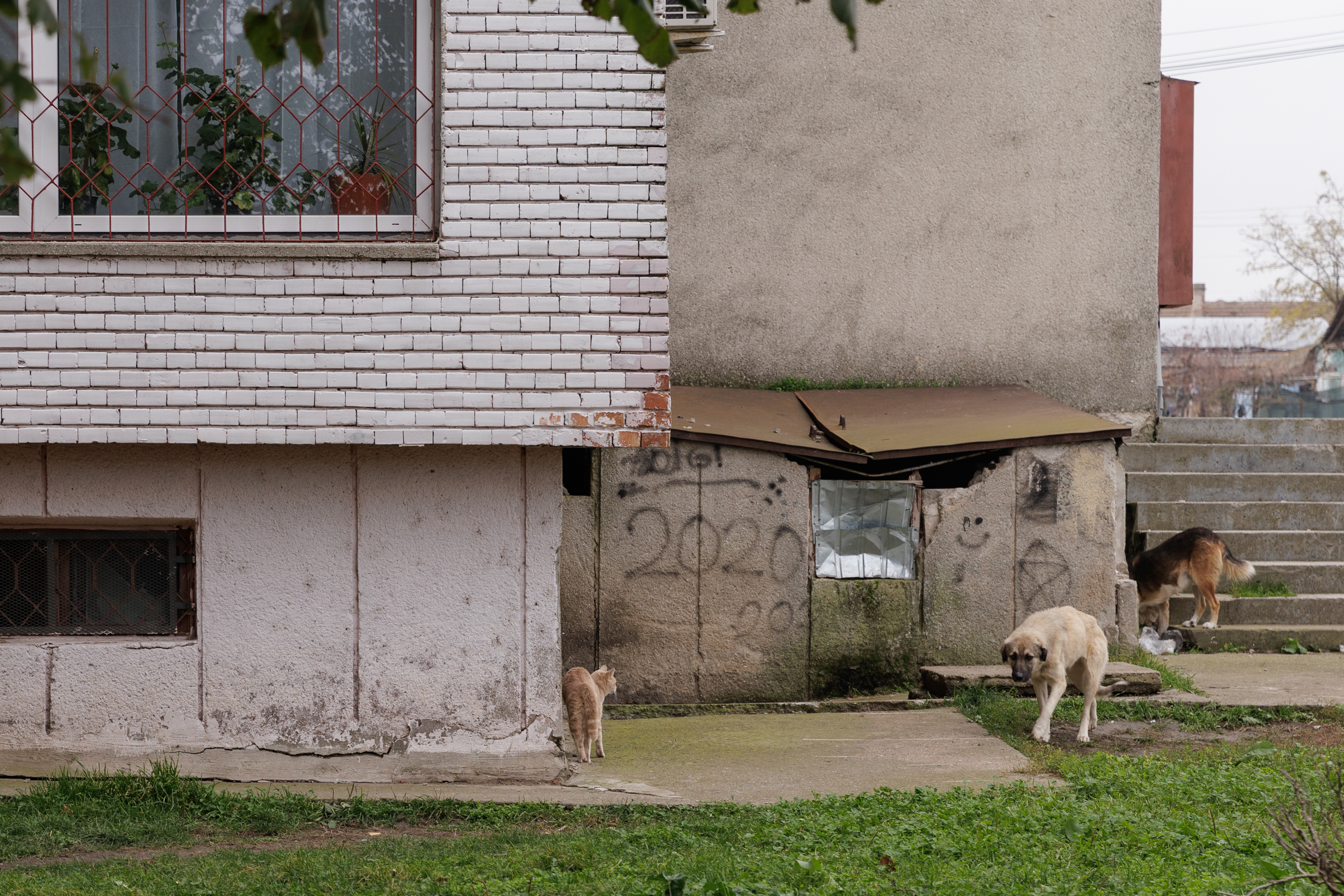 Mic sondaj la marginea țării. De la „frumosul Ciolacu” și „inteligentul Geoană” la „Băsescu cel hazliu”, ce cred oamenii care trăiesc în colțul de jos al hărții, în Dobrogea, despre prezidențiale