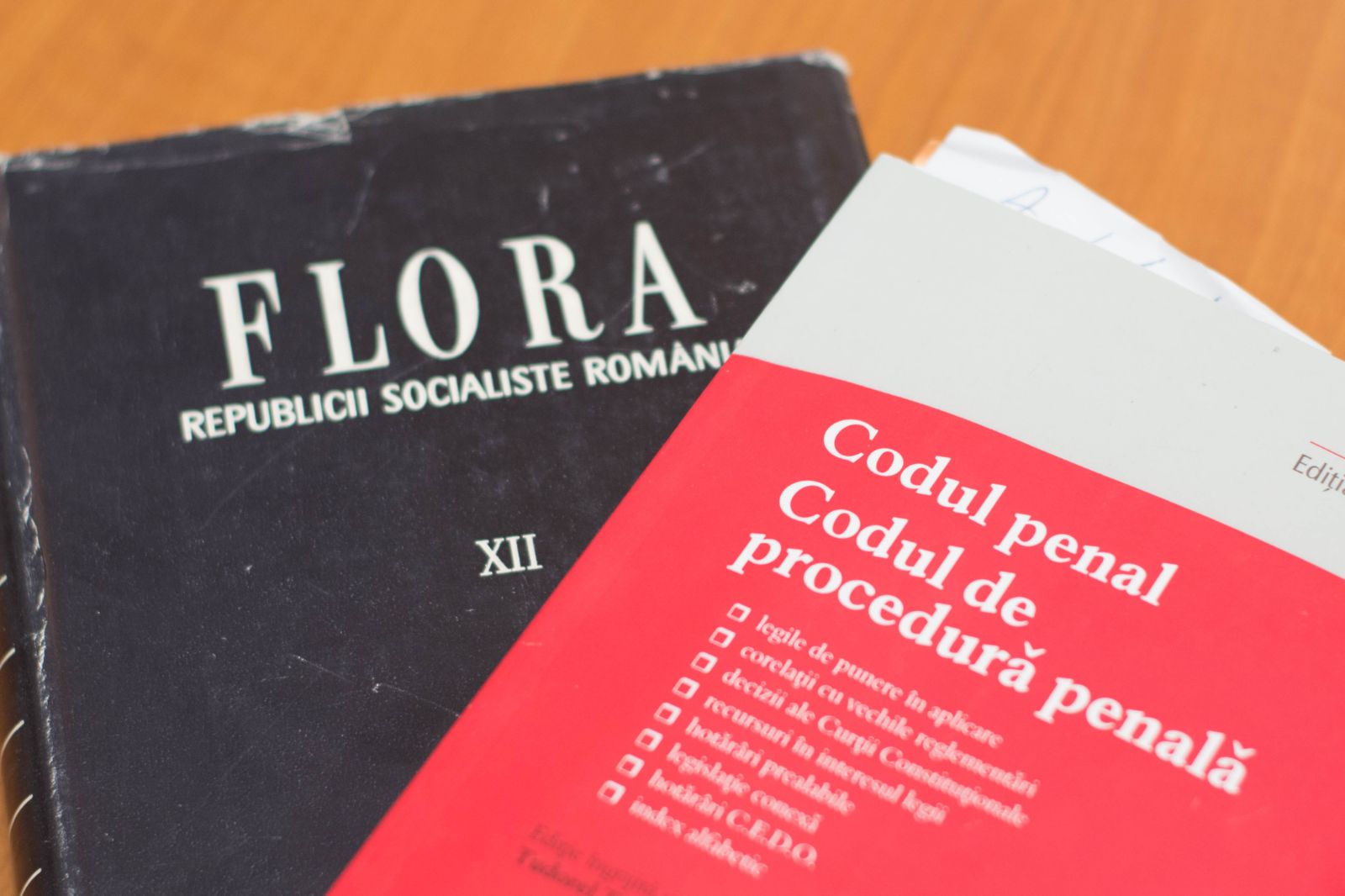 REPORTAJ/Un comisar de la Investigații Criminale e îndrăgostit de orhidee, iar pasiunea lui e cam...derutantă pentru infractori: ”Mi-a zis unul că, dacă tot am așa suflet bun, să nu-l bag la pușcarie!”