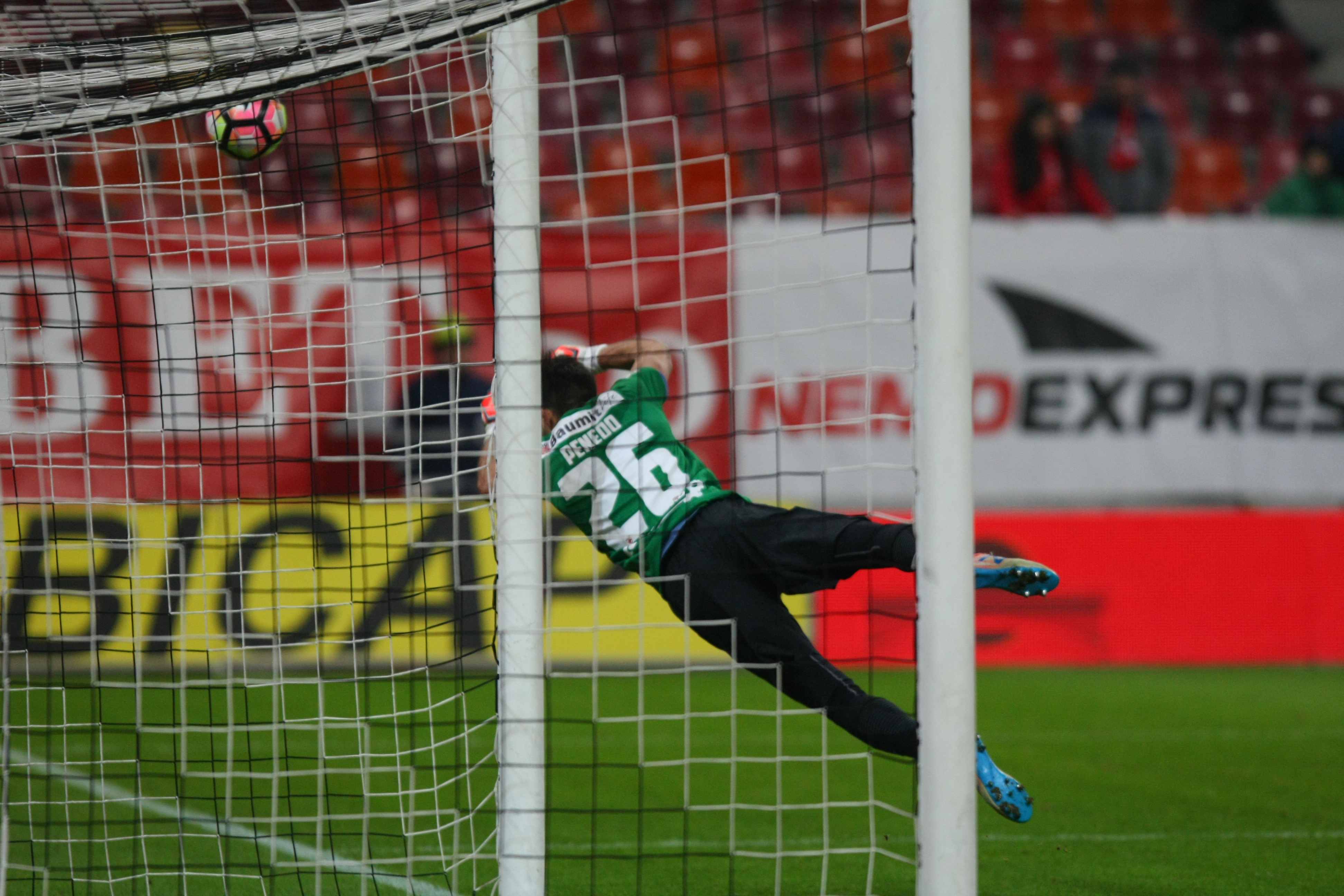 Liga 1, etapa a 24-a. Dinamo - FC Botoșani 1-0. Debut reușit pentru Contra, după un meci cu multe ocazii mari  | GALERIE FOTO