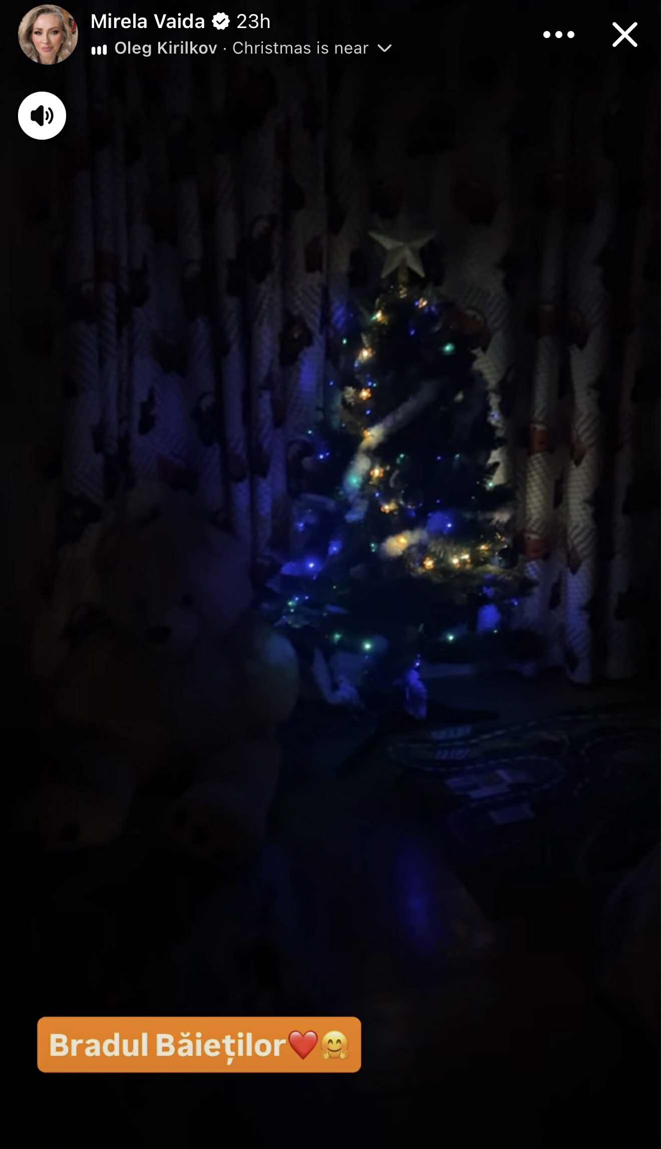 Cum arată cei patru brazi de Crăciun împodobiți de Mirela Vaida. Decor spectaculos și atmosferă de poveste în casa prezentatoarei