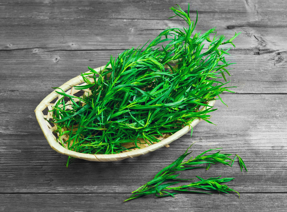 Tarhon - cum se consumă și ce beneficii are planta aromatică