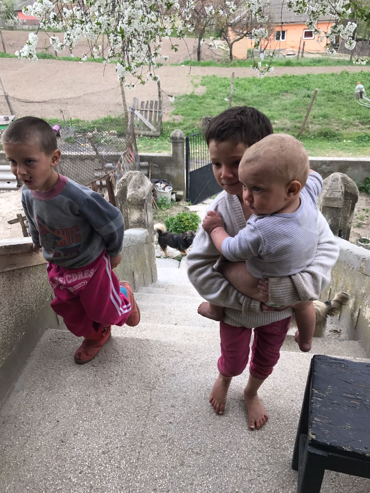 REPORTAJ: Dacă unii pozează în Bunul Samaritean doar de sărbători, ea aduce alinare tot timpul anului| FOTO