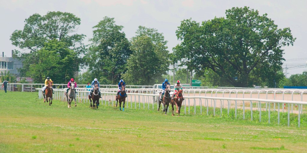 VIDEO | Guillaume Fillet, francezul care a readus cursele de galop în România: "România are tradiție, dar a avut o pauză de zeci de ani"