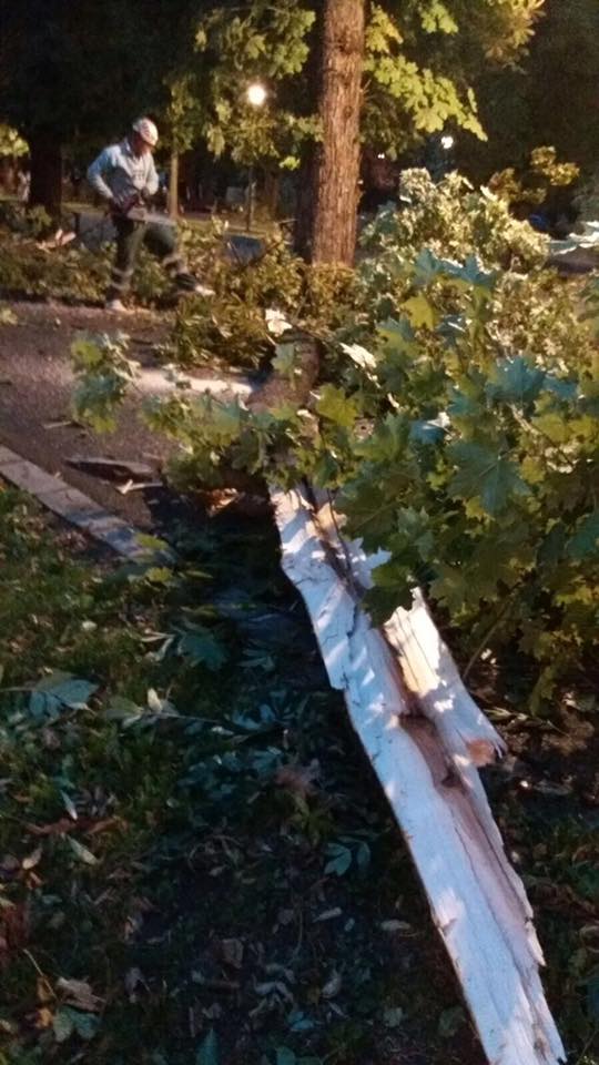 FOTO & VIDEO | Prăpăd după furtună în Cluj. Imaginile dezastrului, publicate de primarul Emil Boc