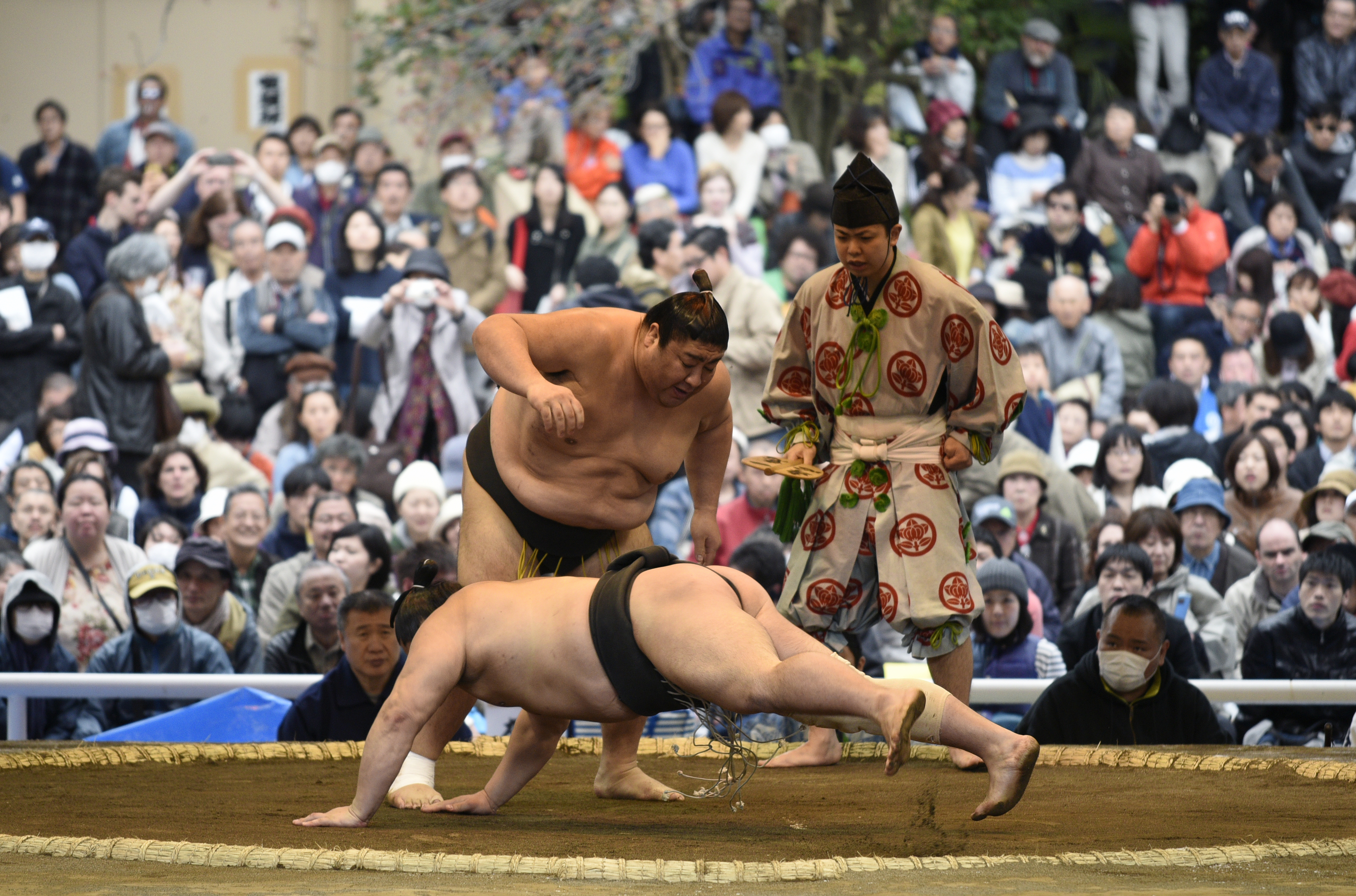 Luptătorii de sumo s-au dat în spectacol gratuit la Tokyo / FOTO