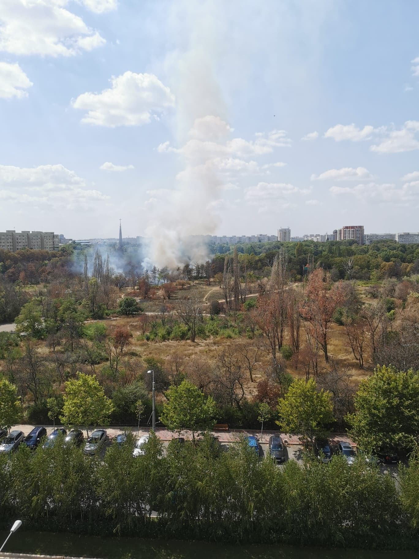 Incendiu de vegetaţie în parcul IOR din Bucureşti. Pompierii intervin cu trei autospeciale