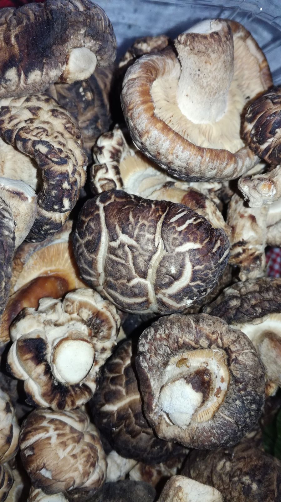 Legumele coreene care cresc în Prahova. Coreeanul Lee Song Su cultivă salată cu gust de hrean și ridichi de opt kilograme / FOTO