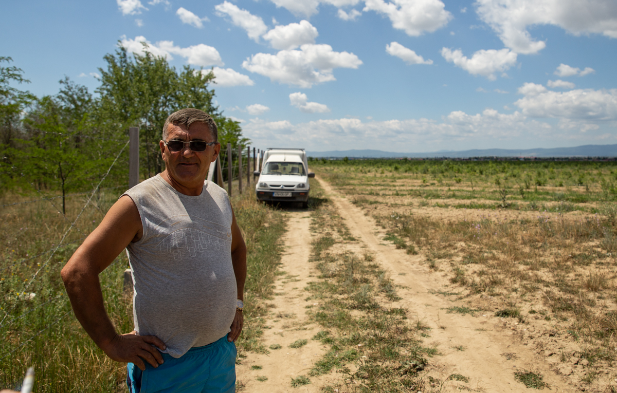 VIDEO | Cum să îngropi 2,4 milioane de euro. La peste doi ani de la primele plantări, Parcul Memoriei Naţionale de lângă Mărășești arată ca un deşert