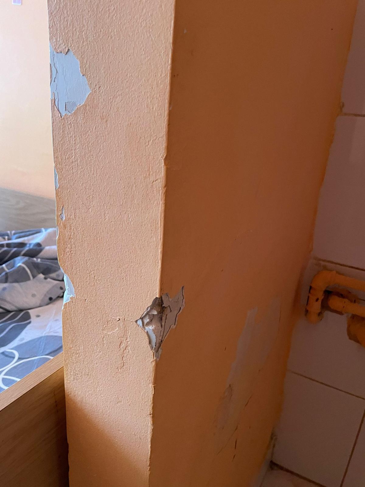 Cămin murdar, cu saltele pătate și gândaci pentru liceenii veniți în tabăra de vară a Universității din București. „Tu ai sta aici?”