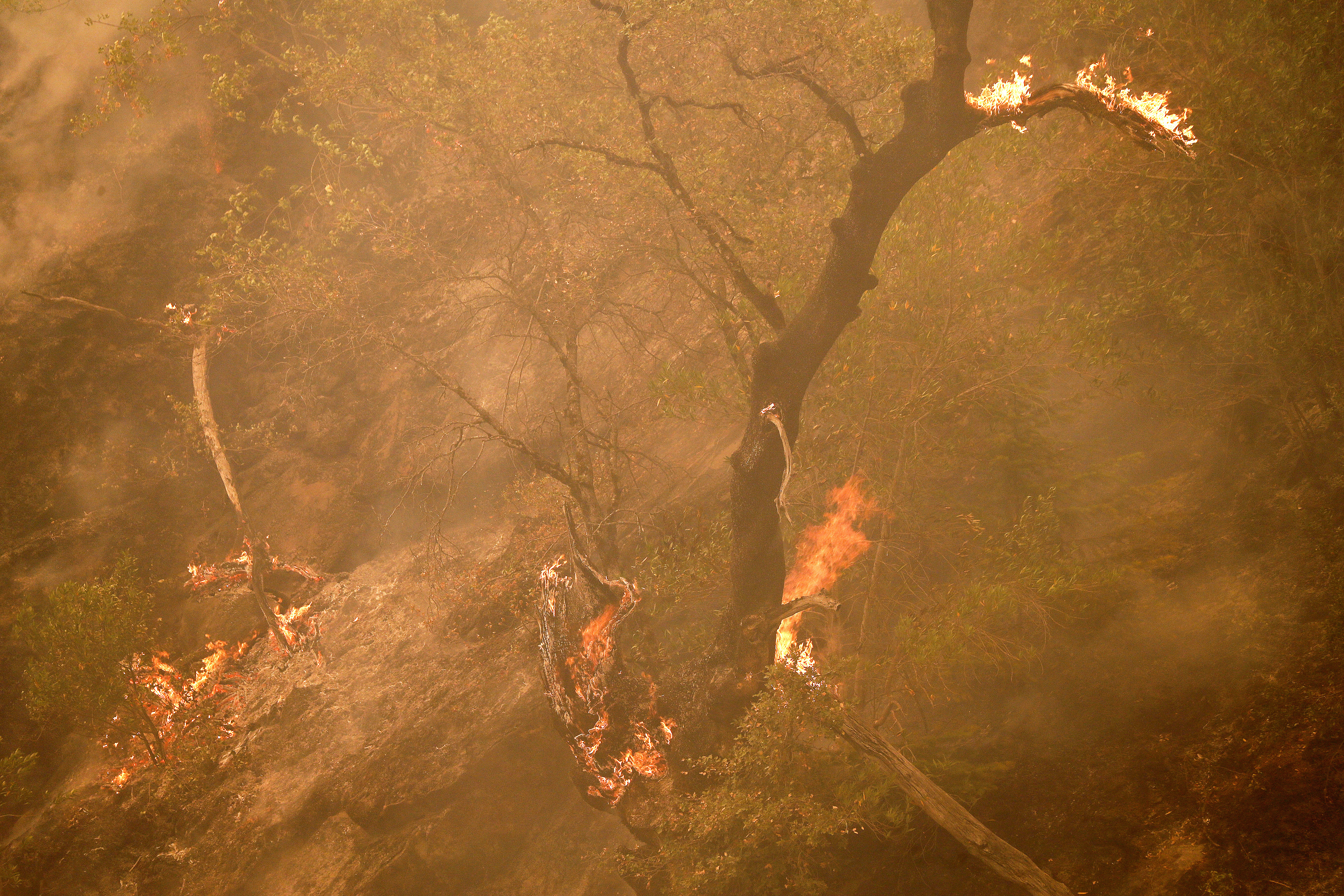Incendiul uriaș din California creează propriul climat. Cu ce se luptă peste 5.400 de pompieri americani