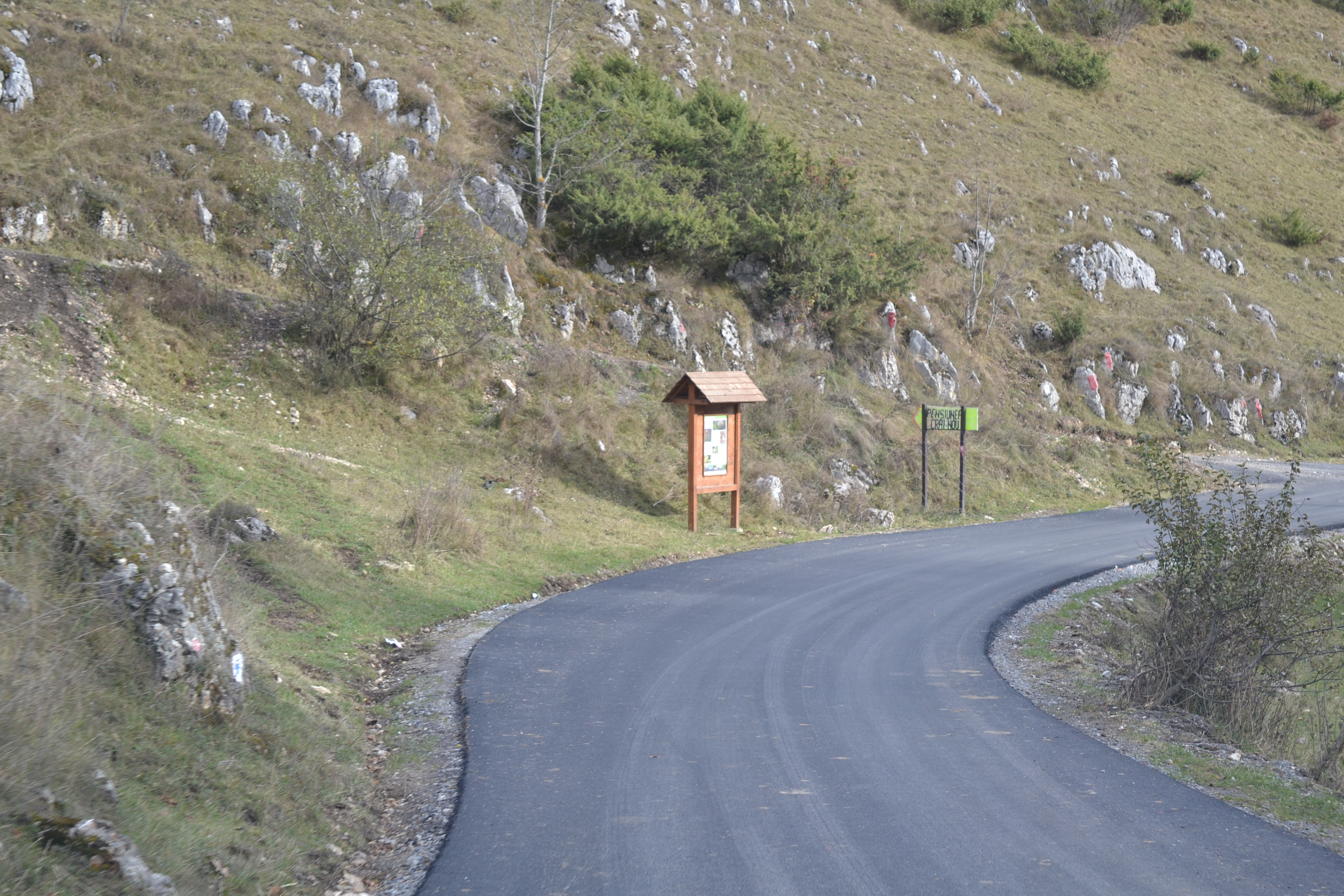 Asfalt către primul sat turistic din România